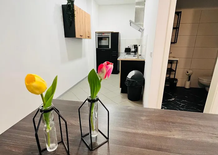 Apartment 10d 55qm Wi-fi Free Parking Calm Back House Dortmund